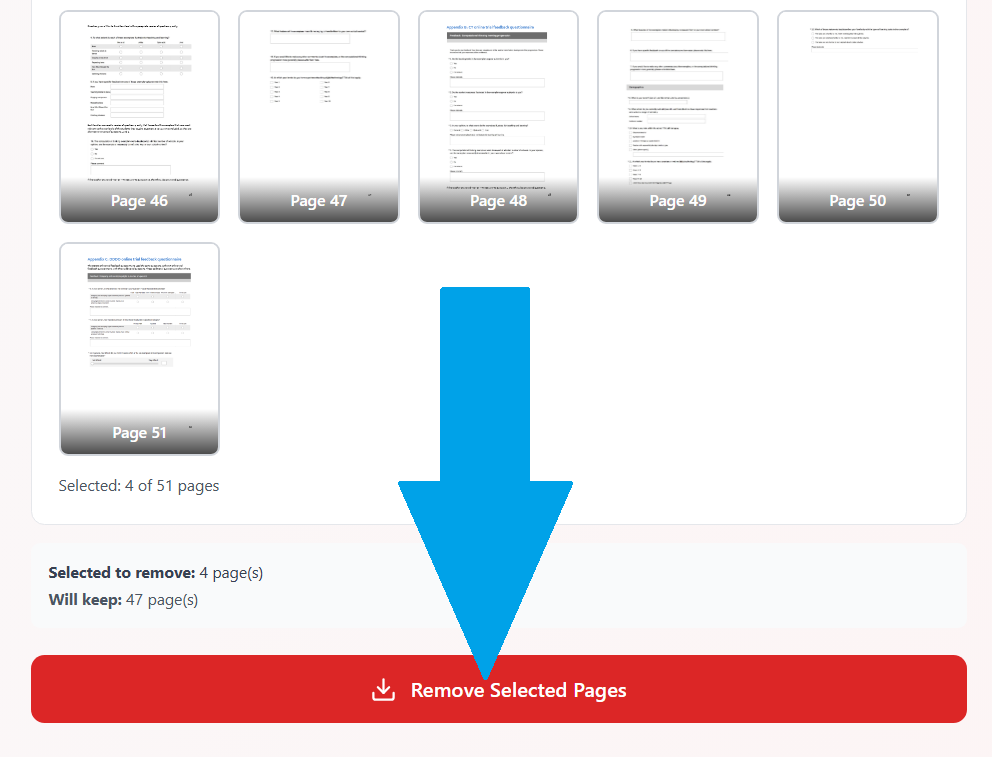 Remove Selected Pages button with summary showing 4 pages selected to remove and 47 pages to keep